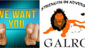 Job vacancies at Galro Limited in Longford 