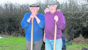 Ploughing on the one furrow at County Longford Ploughing Championships 