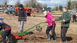Pictures:  Sun shines down on 84th County Longford Ploughing Championships in Carrickedmond
