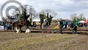 PICTURES:  Fun in the sun at 84th County Longford Ploughing Championships