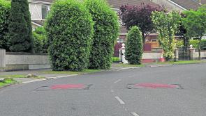 Longford Gardaí to press ahead with alleged criminal damage investigations