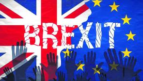 New study shows openings for Longford firms despite fears over Brexit impact