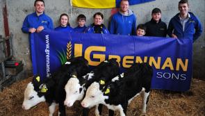 GAA club in Longford is rearing calves to raise funds 