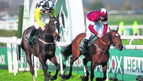 Grand National runner-up born and bred in Ballymahon