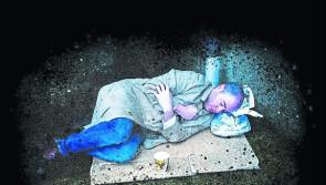 'Cardboard Coffin': A deep and powerful performance at Ballymahon's Bog Lane Theatre