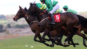 Under starters orders for a special Punchestown Festival