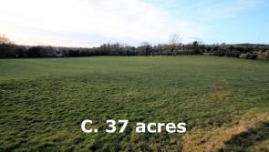 Thirty-seven acre non-residential farm sells for €307,000 at auction