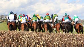 THE PUNTER'S EYE: Punchestown DAY 2 Tips and Preview - Wednesday, April 25