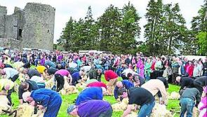 Roscommon all set for Lamb Festival