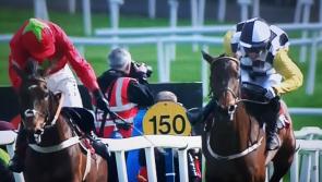 Longford Leader owner's horse Next  Destination wins Grade 1 hurdle at Punchestown 