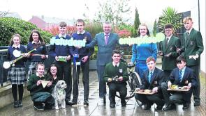 Moyne and Granard schools bid for success in Student Enterprise Programme National Finals