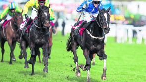 Punchestown results: Day 3 racing results - Thursday, April 26, 2018