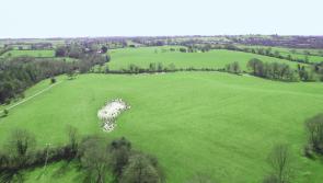 Westmeath farmer purchases 120 acres for €790,000 at auction 