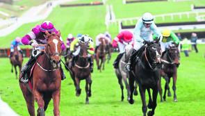 Punchestown results: Day 4 racing results - Friday, April 27, 2018
