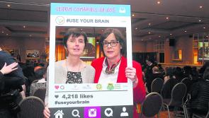 'Use your Brain Not Your Fists' video set to play in every Irish school