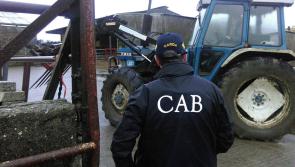 'Dogs on street' could identify Longford crime gangs