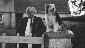 Tribute to John Connell, the last of the Lough Ree islanders 