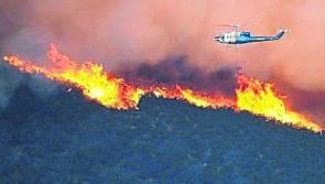 Weather warning: 'High risk' forest fire warning issued amid warm weather forecast