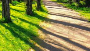 New walkway to provide untold benefits to Newtownforbes locals
