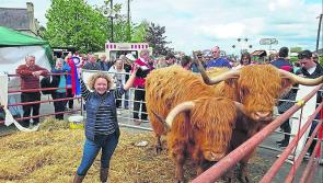 Ballinalee's Hamish and Henry crowned  champions at Dunderry Fair