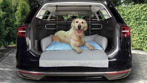 Help Longford drivers and pets to stay safe on Irish roads