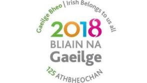 Longford Library celebrates 'Bliain na Gaeilge' 