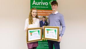 Final call for applications to Aurivo Scholarship Programme