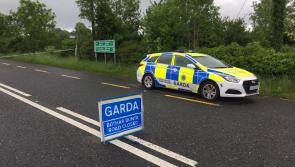 Gardaí appeal to driver of vehicle involved in Longford hit and run fatality to come forward