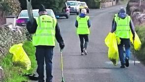Ballymahon Tidy Towns: 'A battle we might be losing'