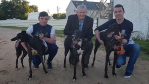 Breaking: Heatwave forces cancellation of €10,000 Longford Greyhound Derby Final 