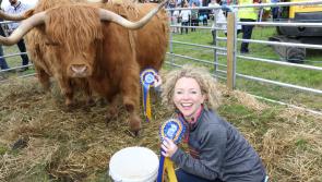 Hamish and Henry will be among top attractions at 117th County Longford Show & Country Fair 