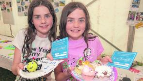 Crowds flock to sun kissed Co Longford Show