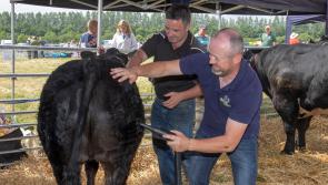Longford Leader gallery: Glorious sunshine draws large crowds to Co Longford Show & Country Fair