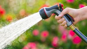 No paddling pools! Hosepipe ban 'increasingly likely' in Longford