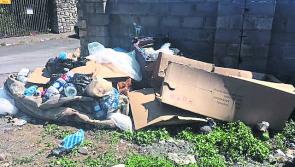 Domestic waste disposal service needed to combat dumping in Longford