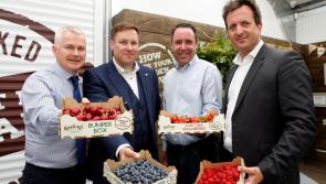 Center Parcs serves up €5.2 million in contracts to Irish food companies to supply Center Parcs Longford Forest