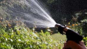 Hosepipe bans loom as Irish Water confirms water  schemes are in 'drought' trouble