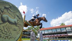 Longford bred horse, Lux Lady, triumphs at Spruce Meadows five-star show in Canada 