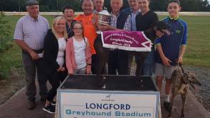 Cabra Hurricane storms to glory in €10,000 Longford Greyhound Stadium Derby