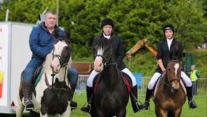 Pictures:  Ballinamuck Olde Fair Day 