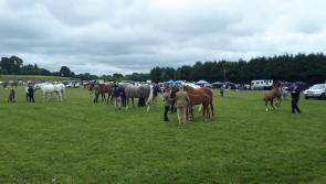 Crowds turn out in force for 66th Granard Agricultural Show