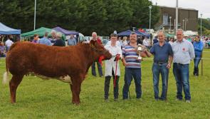 Crowds savour thrills of hugely successful Granard Show