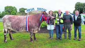 More than just livestock at this weekend's Arva show