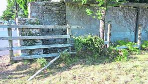 Fury as vandals target key south Longford tourist attraction