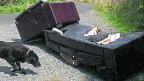 'It's time for judges to get tough with Longford's illegal dumpers'