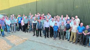 Longford lamb producers lead the way at annual 'Open Day'