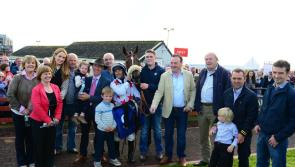 Roscommon Races return on August 20