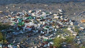 High level of rubbish in Ireland’s waterways a threat to angling tourism