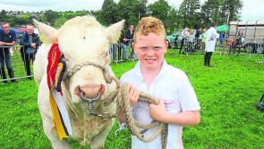 Gallery | 91st Mohill Agricultural Show a huge success