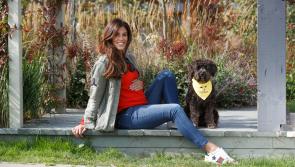Dogs Trust launches nationwide ‘Be Dog Smart Week’ focusing on antenatal preparation